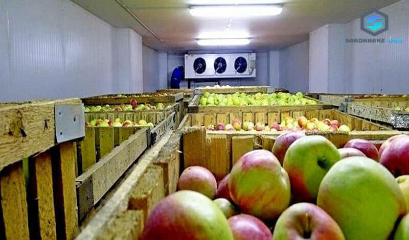 ساخت انواع سرخانه سیب 